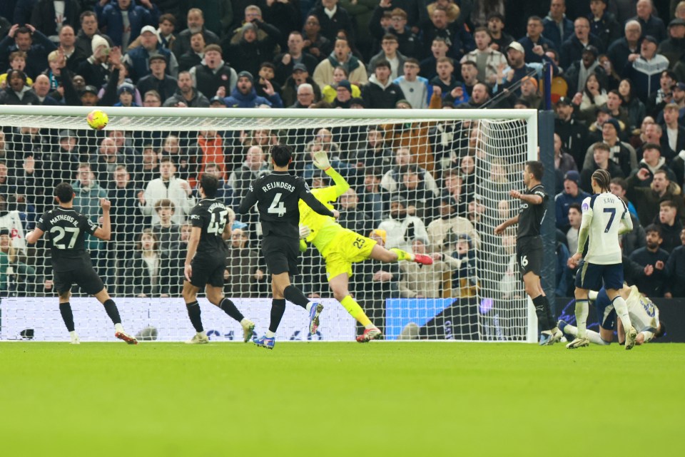 蝎子摆尾入网瞬间